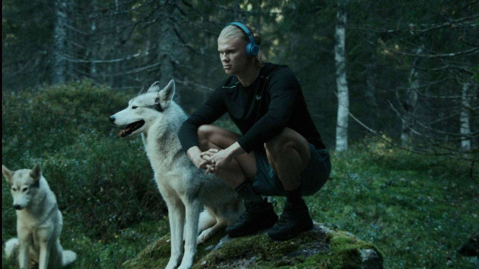 的北欧及亚 的北欧及亚