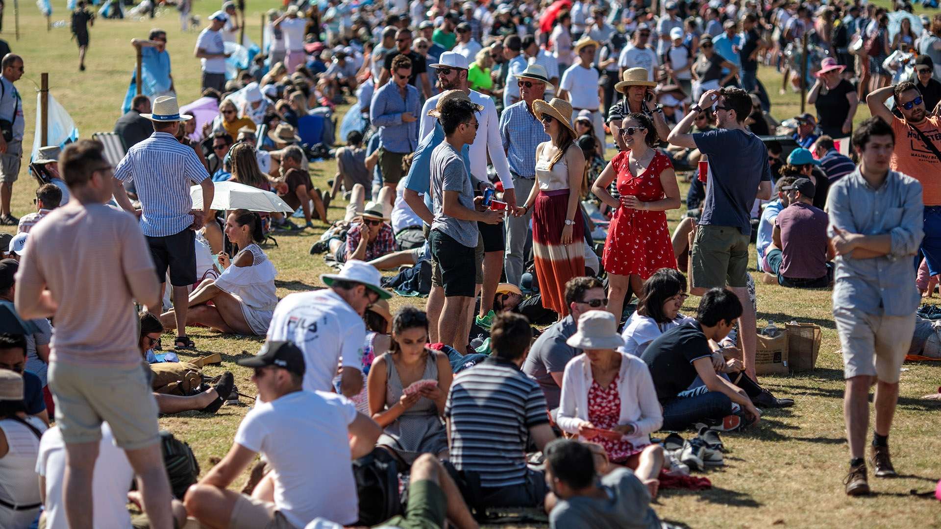 另一支不容 另一支不容