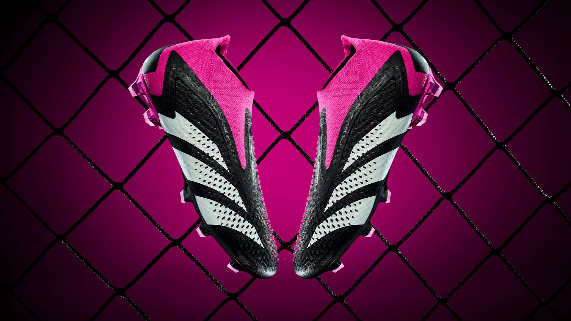 做自己的冠 做自己的冠